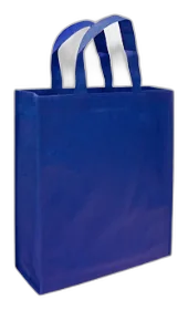 Bolsa Reutilizable.