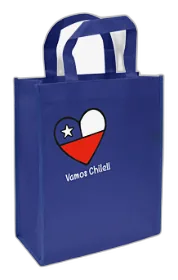 Bolsa Tnt Canasta O Regalo Dieciochero 21x29cm