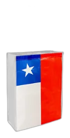 Bolsa TNT Bandera Chilena Mediana 30x40x12cm