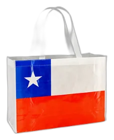 Bolsa TNT Bandera Chilena Grande